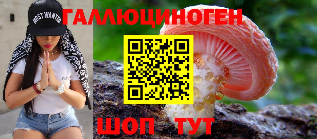 Псилоцибиновые грибы Psilocybe Алушта